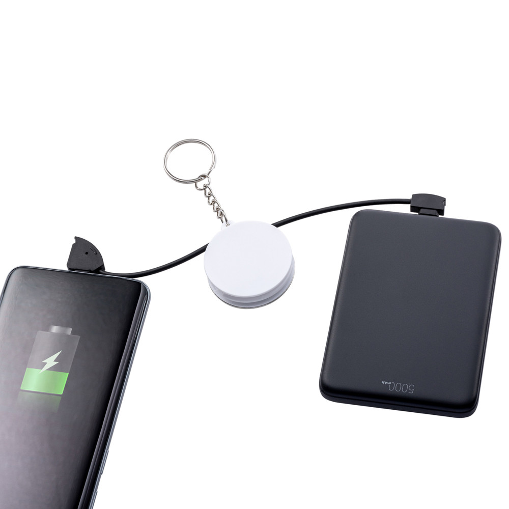 2-in-1 Ladekabel REEVES-EVERETTE II