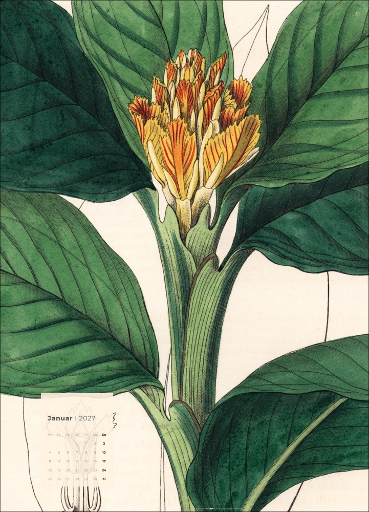 Botanicals