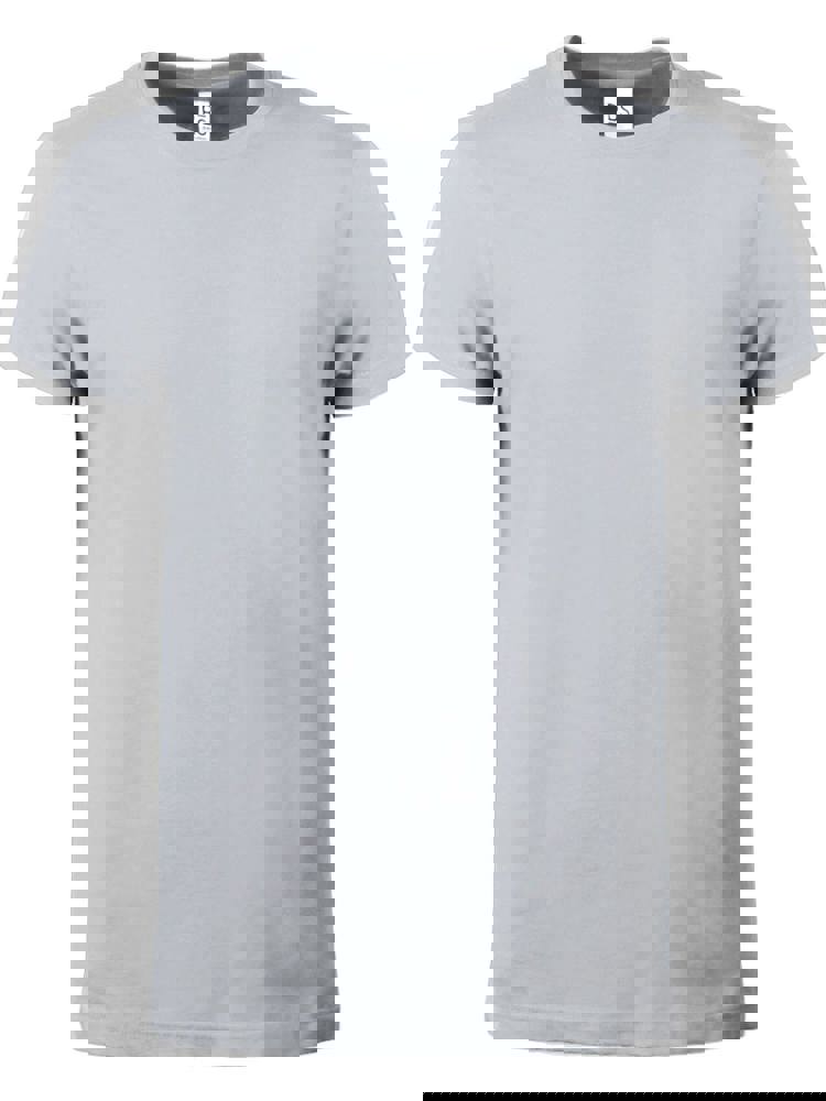 BS Evolution T-Shirt, 150 g/m2, 100 % Baumwolle - Zinc