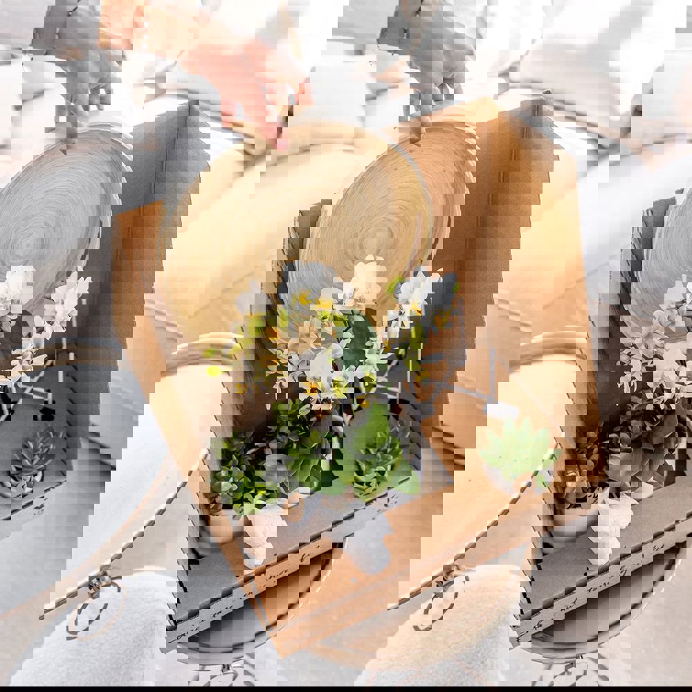 Botanical Giftset large - White Serenity