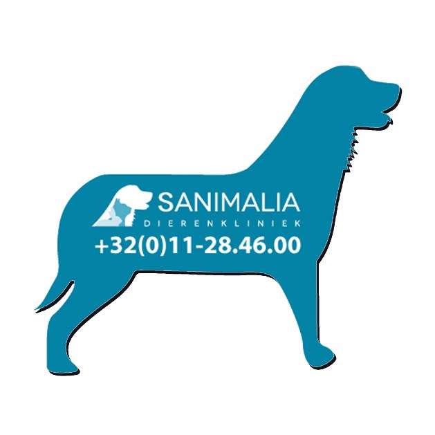 Full Color bedruckte Kühlschrank- & Werbemagnete  135 cm2