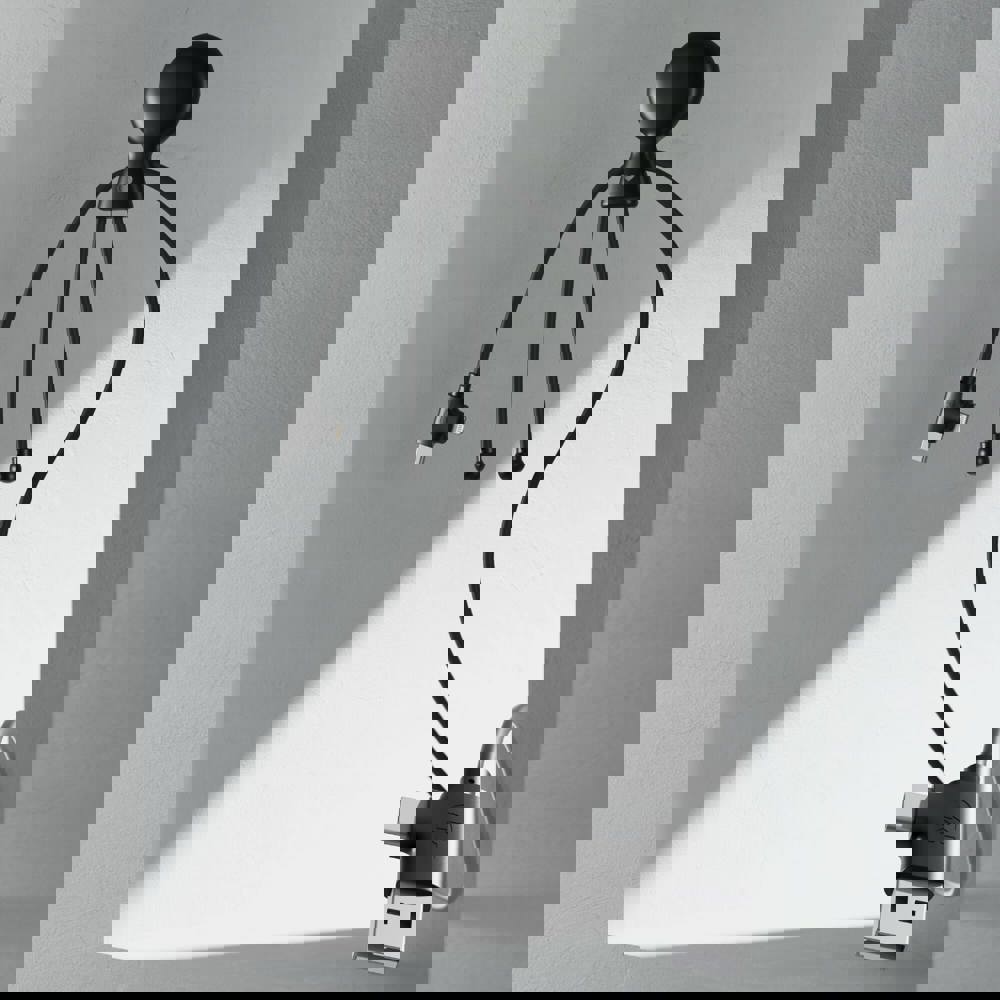 2089 | Xoopar Mr. Bio Long Power Delivery Cable with data transfer