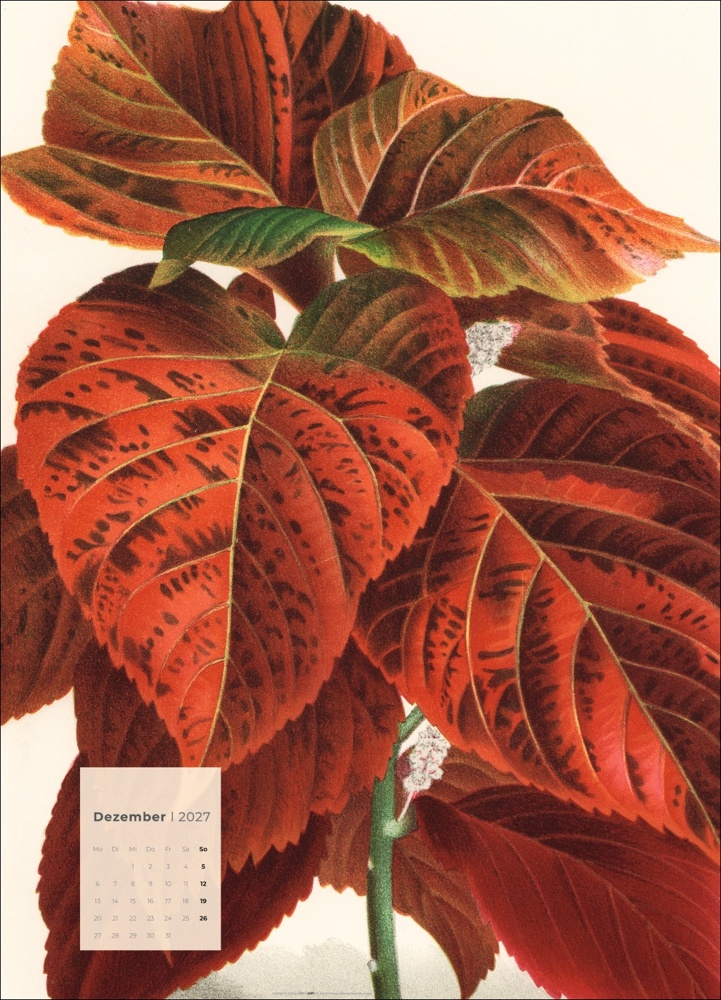 Botanicals