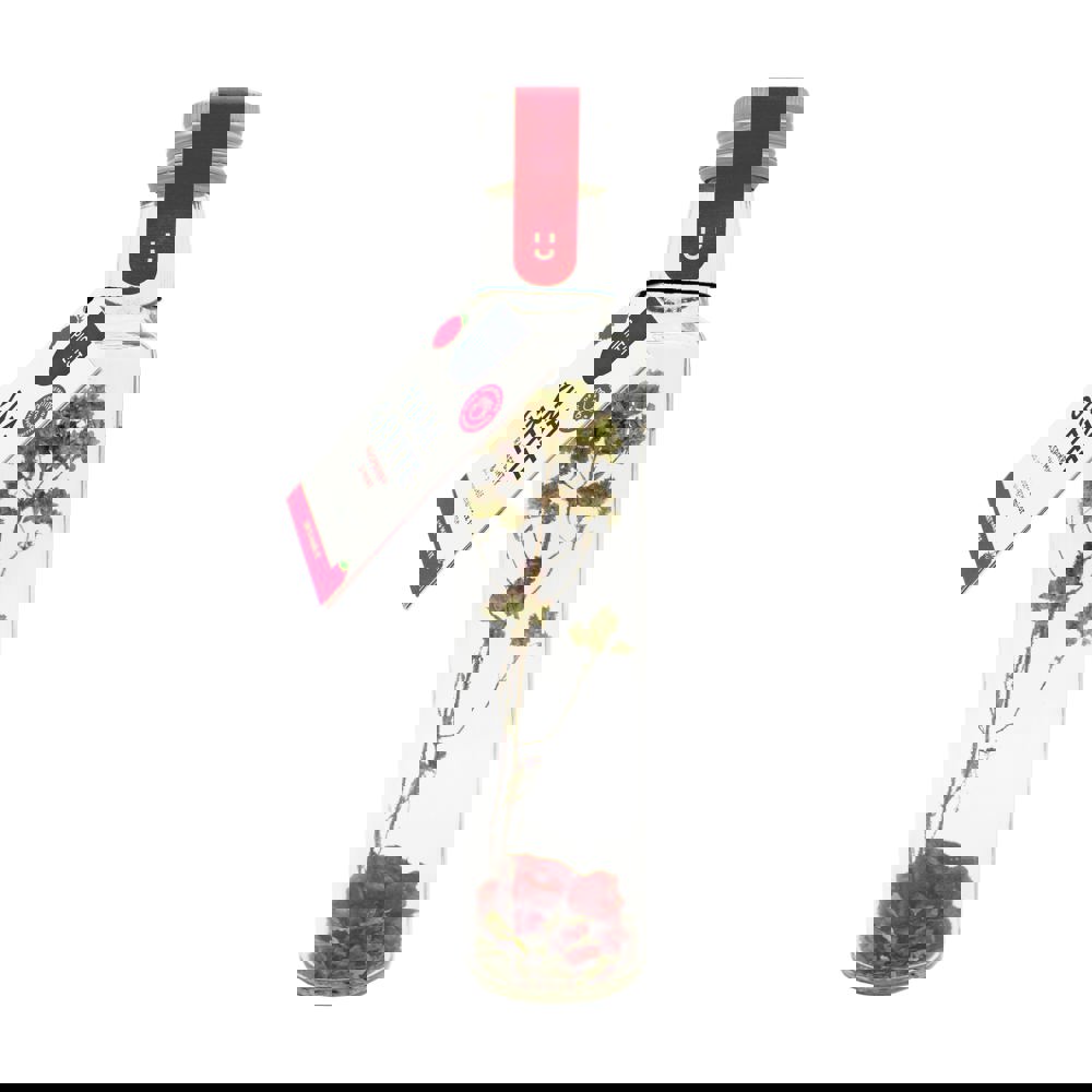 Vinaigrette | Flasche | Himbeere, Granatapfel & Minze