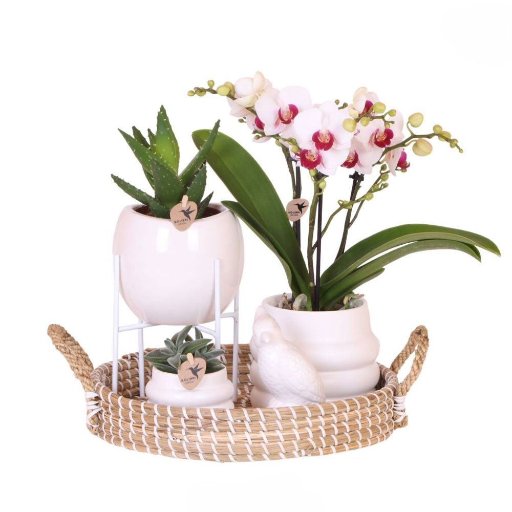 Botanical Giftset large - White Serenity