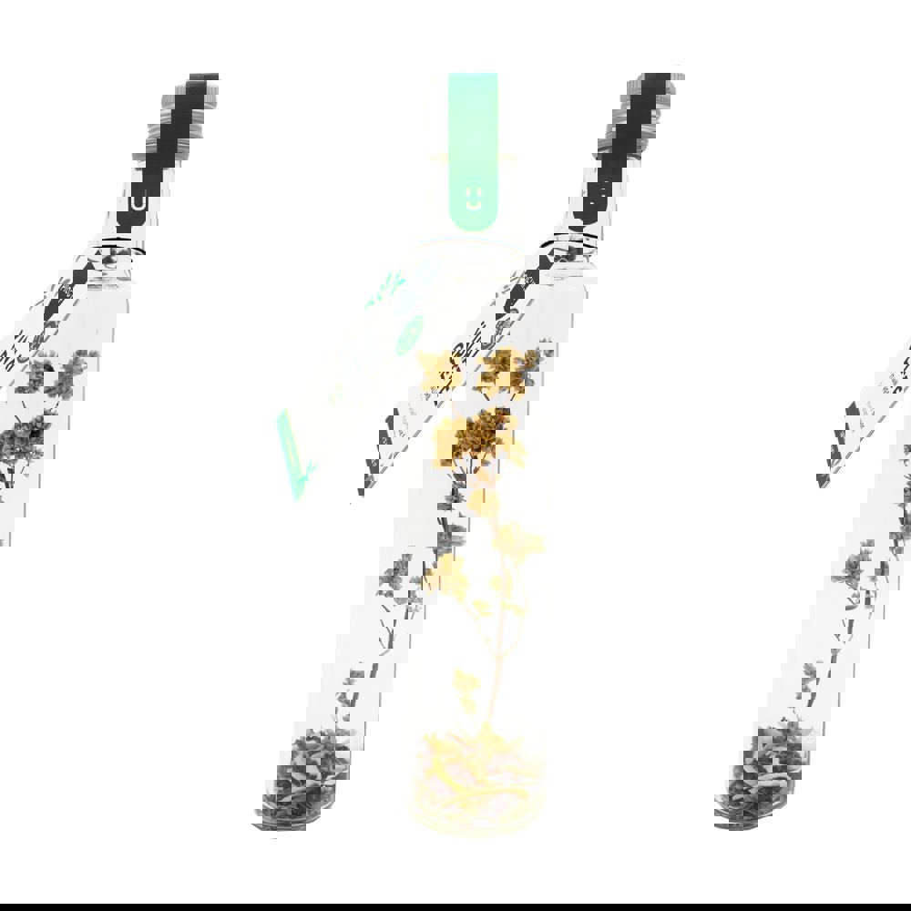 Vinaigrette | Flasche | Italienische Kräuter