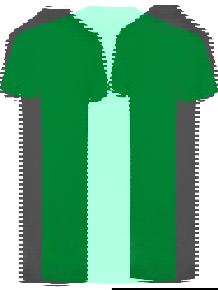 BS Evolution T-Shirt, 150 g/m2, 100 % Baumwolle - Kelly Green